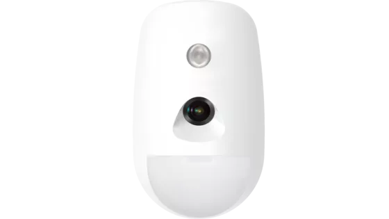 Detector with camera