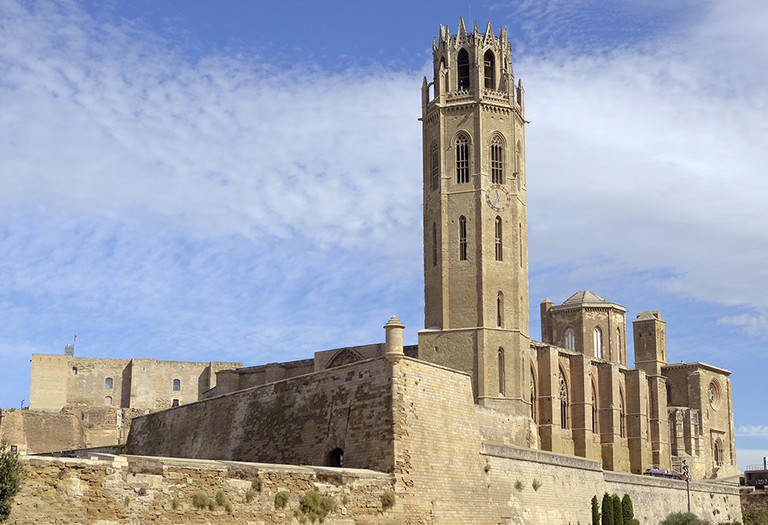 Associació Amics del Turó de la Seu Vella